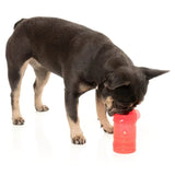 FuzzYard Pina Coolada Freeze Dog Toy