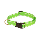 Green dog collar with reflective strip and black buckle on a white background
