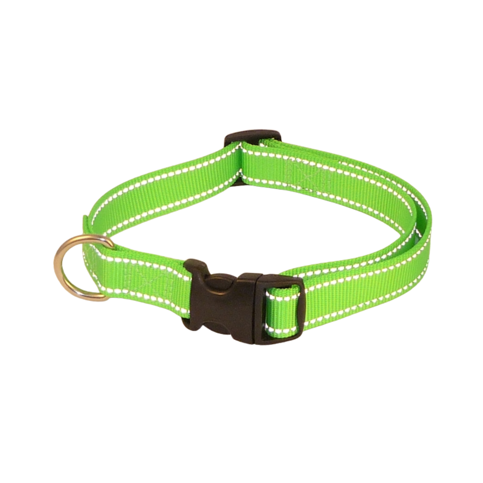 Green dog collar with reflective strip and black buckle on a white background