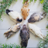 Naked Beasts 2pk Rabbit Head with Ears