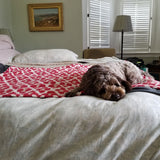 Tall Tails Blanket Red Bone