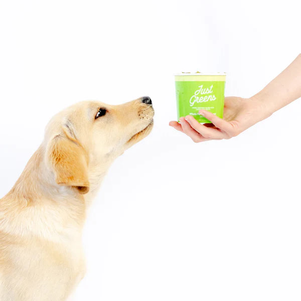 Dog sniffing a container labeled 'Just Greens' held by a person on a white background