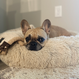 Tall Tails Cuddle Bed Khaki