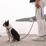 EzyDog Luca Leash*