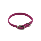 Locatis Cat Stretch Collar