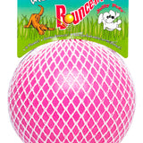 Jolly Pets Bounce N Play*