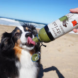 Dog Is Good Water Bottle Never Drink Alone