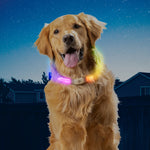 Dog wearing a colorful LED collar against a night sky.