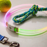Dog leash with colorful LED light, knot, and tennis ball on a white surface