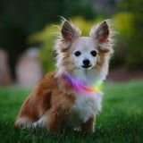 Nite Ize Nitehowl LED Safety Necklace Rechargeable Mini