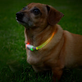 Nite Ize Nitehowl LED Safety Necklace Rechargeable Mini