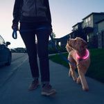 Person walking a dog on a leash with a pink collar at dusk.
