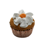 Swell Dog Pumpkin Pupcake