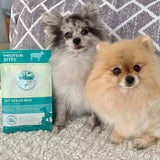 Steve's Freeze Dried Protein Bites Lamb 4oz