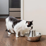 PetSafe Stainless Steel Seaside Fountain