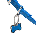 Blue dog collar with a bone-shaped tag on a white background