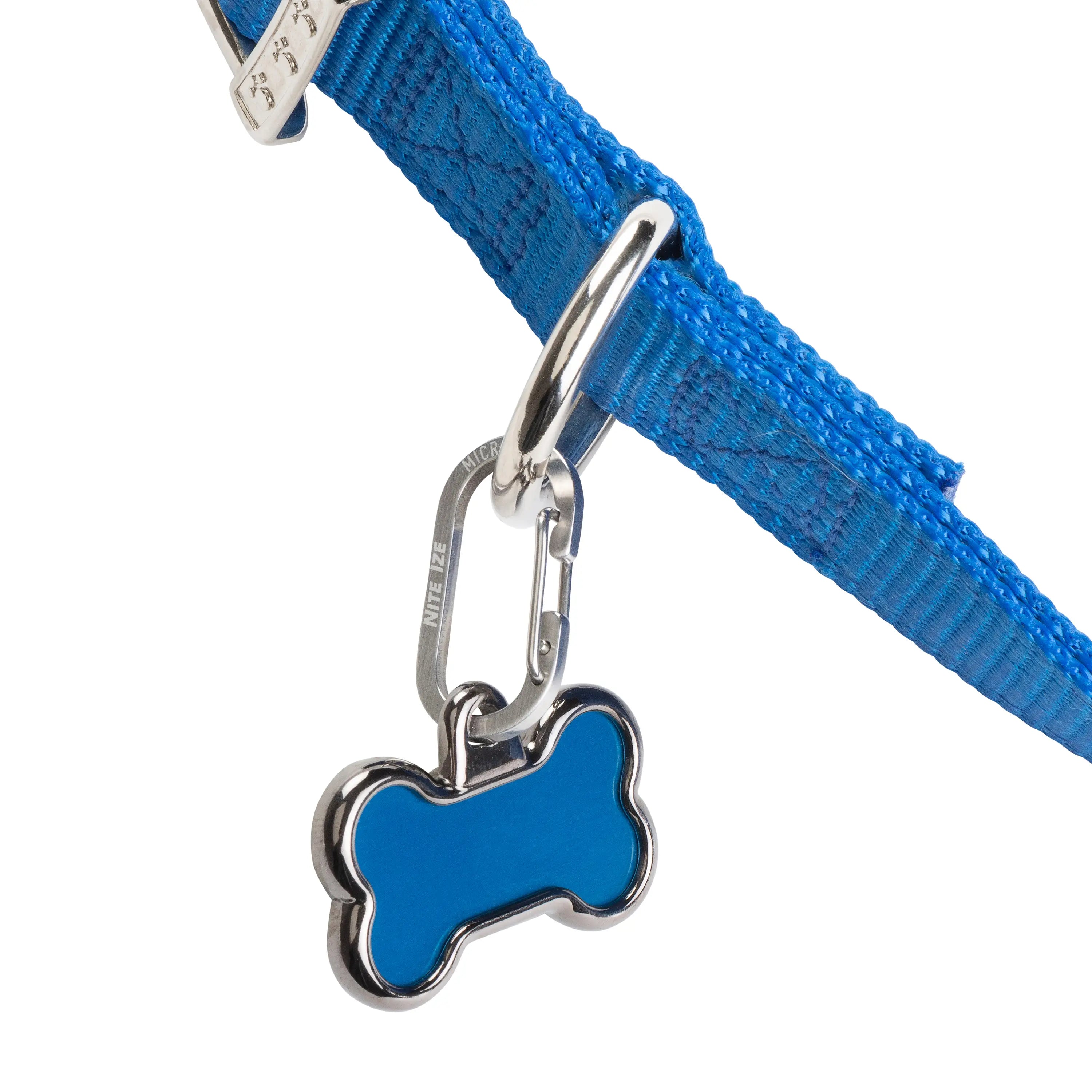 Blue dog collar with a bone-shaped tag on a white background