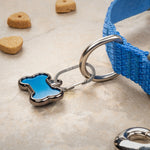 Blue dog collar with a bone-shaped tag on a textured surface with dog treats.