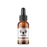 Turkey Tail Dual Extract of Turkey Tail Mushrooms