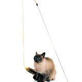 Cat playing with a toy wand on a white background