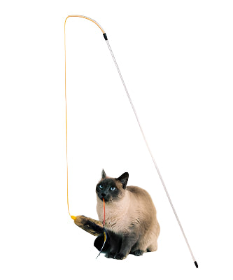 Cat playing with a toy wand on a white background
