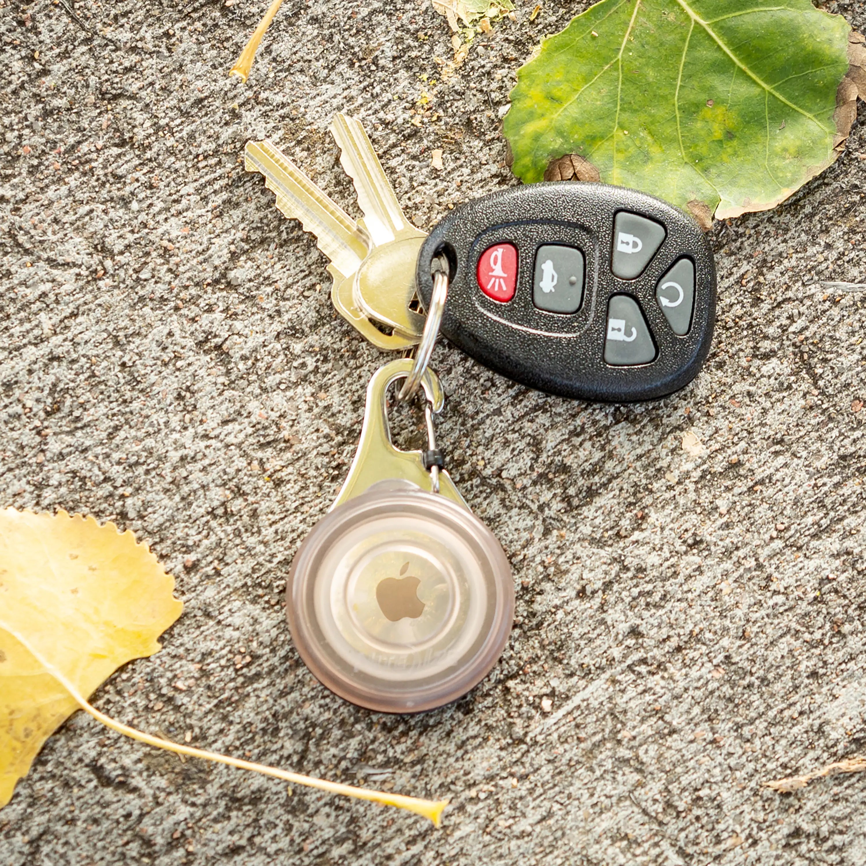 Keychain with car key and remote control on a textured surface with leaves