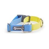 Waterproof Two-Tone Martingale Collar Blue/Yellow