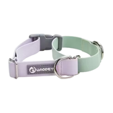 Waterproof Two-Tone Martingale Collar Purple/Green