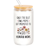 Dog Mom to Human Mom Glass Tumbler with Straw