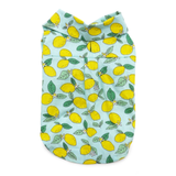 DOGO Lemon Shirt Blue
