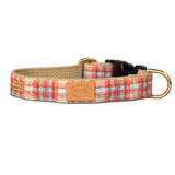 Finnegan's Charlie Plaid Collar
