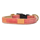 Finnegan's Pretty Pink Velvet Collar