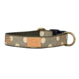 Finnegan's Sand Dollar Polka Dot Collar