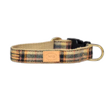 Finnegan's Teddy Plaid Collar