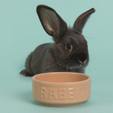 Cane Letter Rabbit Bowl Peach