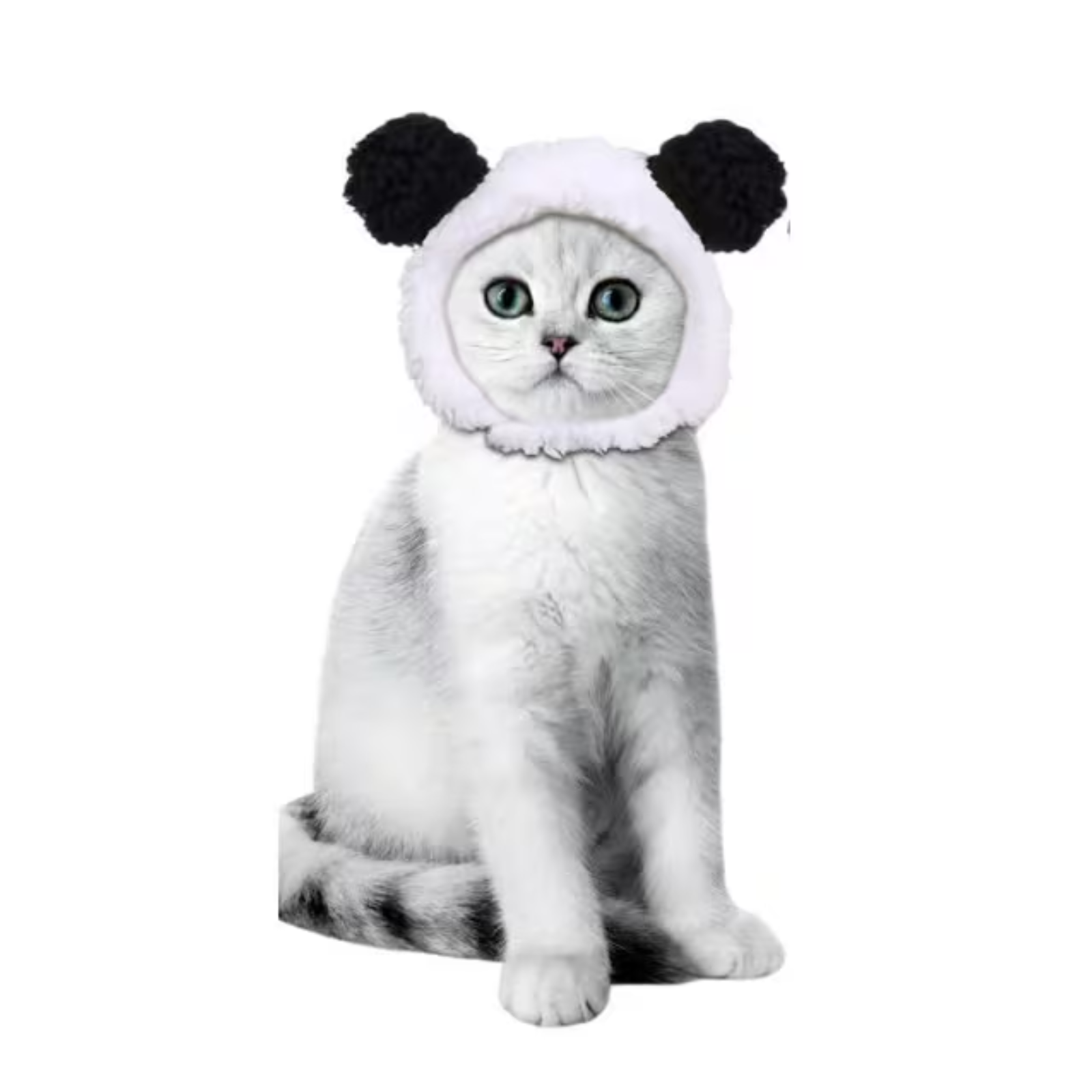 A white cat wearing a panda costume hood with black pom-pom ears, sitting against a plain white background.