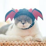 Devil Bat Wings Pet Hat