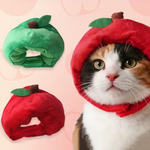 A calico cat wearing a red apple-shaped pet hood with a green leaf, shown alongside two smaller views of the same hood in red and green on a pale pink background.