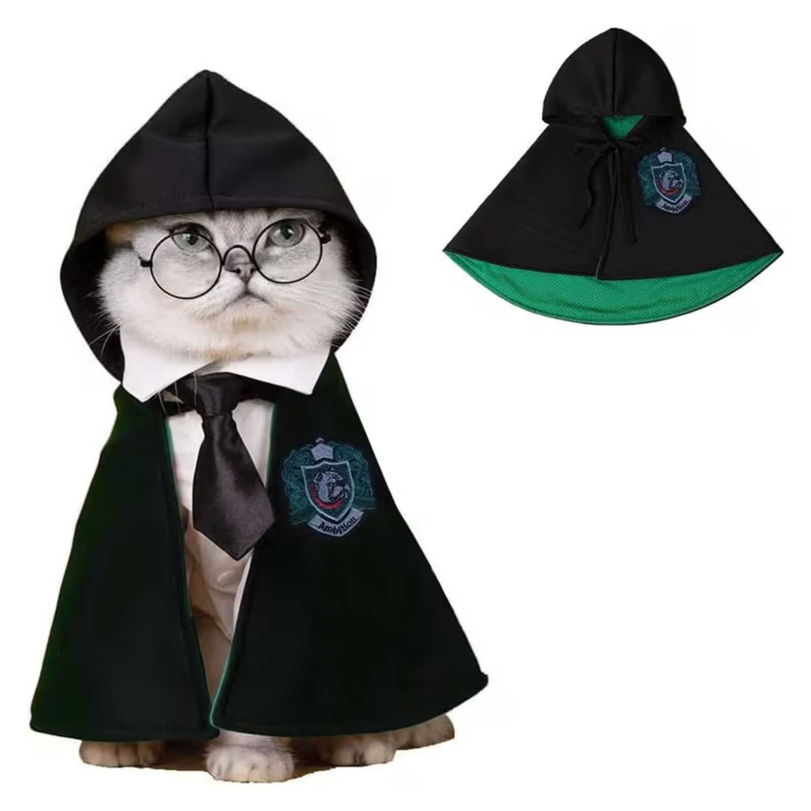 A small cat wearing a black wizard-style hooded cape with a green inner lining, white shirt collar, black tie, and round glasses, shown on a white background with a separate inset of the cape alone.