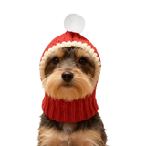 A small dog wearing a red knit pet hat with a white trim and a white pom-pom, photographed against a plain white background.