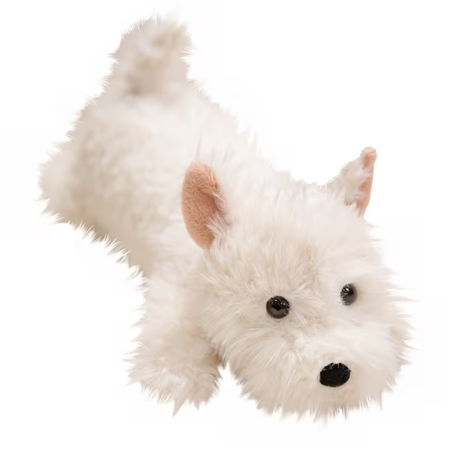 White plush dog toy on a white background