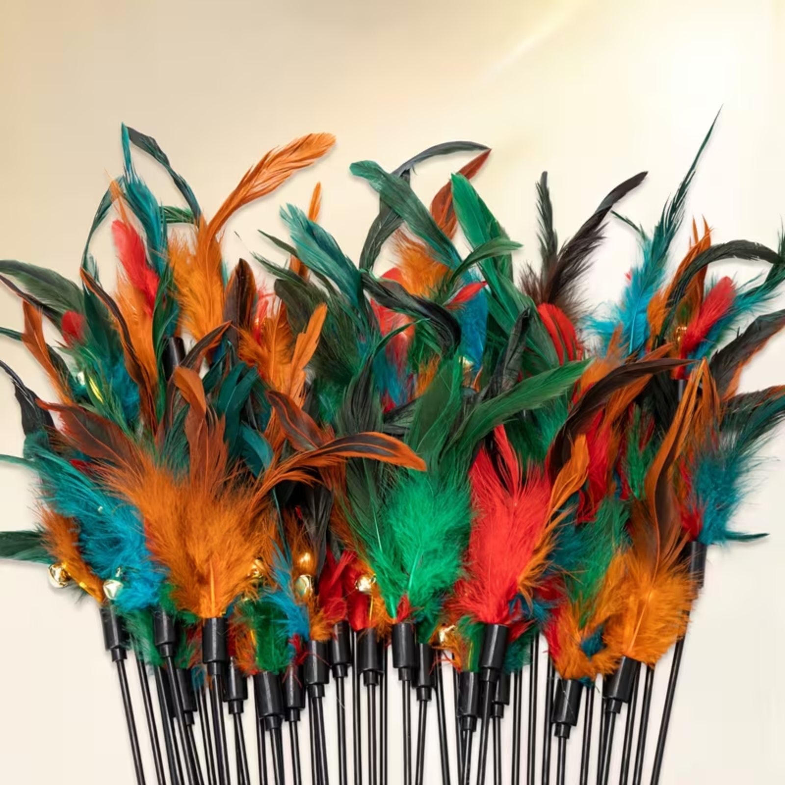 Colorful feathered sticks arranged on a white background