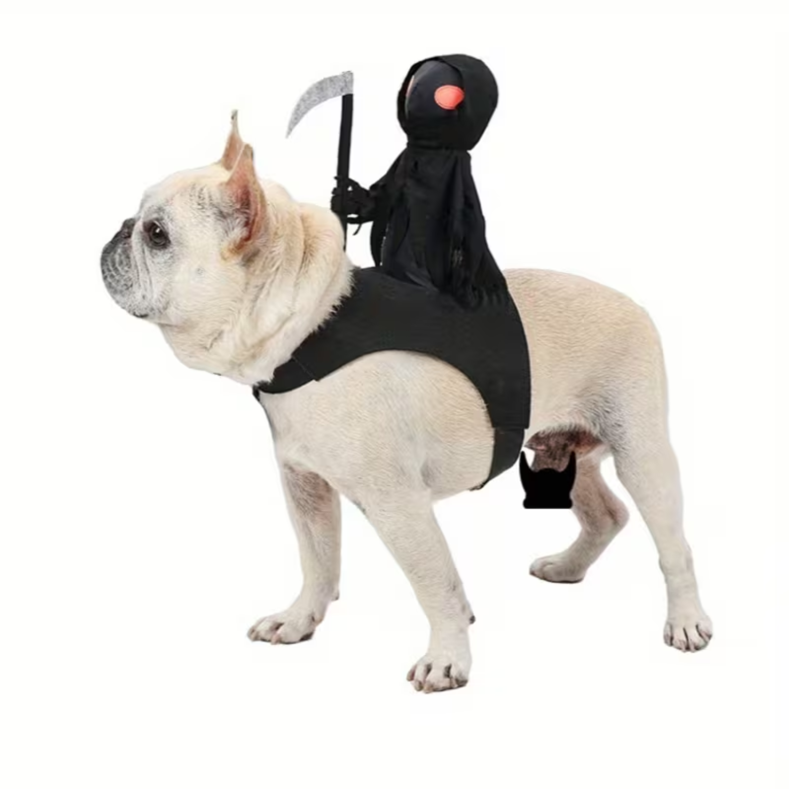 A light furred dog wearing a black Grim Reaper costume with a hooded figure holding a scythe and a red eye detail, photographed on a plain white background.