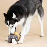 Fringe Roped In Canvas Dog Toy