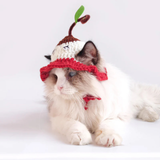 Ozzie Cute Knitted Cat Hat Red
