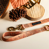 Moonstar Dog Leash