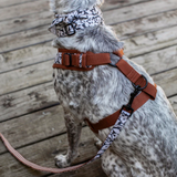 Fringe Charcoal Floral Dog Harness