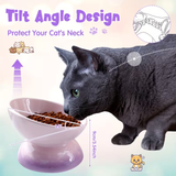 Elevated Ceramic Pet Bowl Ombre
