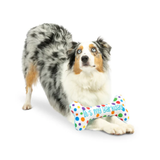 Huxley & Kent Power Plush Its My Barkday Bone
