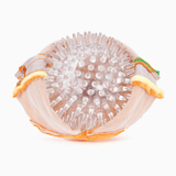 Food Party Hamburger Ball Toy